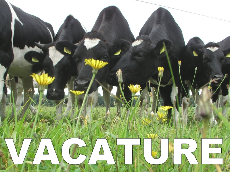 Vacature projectleider Agrarisch Natuur- en Landschapsbeheer