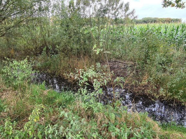 Project achterstallig onderhoud gemeente Montferland